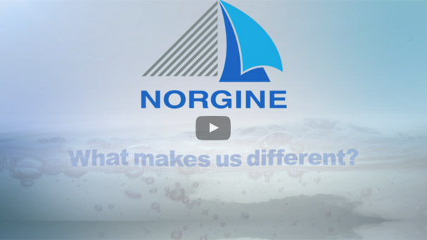 What make Norgine different